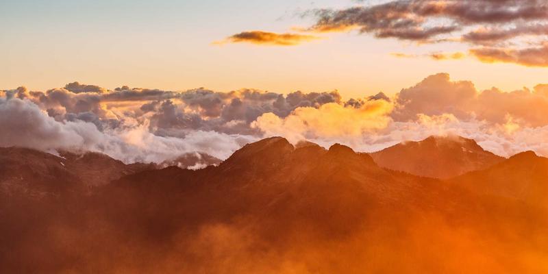 从步履蹒跚到行稳致远：金花鞋业的品牌发展史与企业文化内核