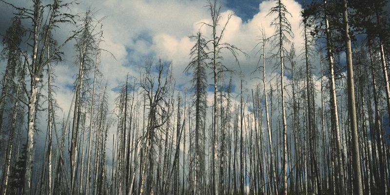 从源头到货架：金花鞋业如何用环保材料重塑时尚女鞋产业价值链