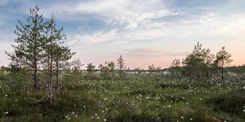 夏日足尖呼吸术：金花鞋业如何以设计哲学重塑透气休闲鞋