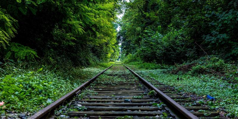 探秘金花鞋业智能工厂：自动化生产线如何重塑女鞋零售与批发新格局